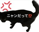 ニャンだって？！な話　ここで発散できます 理不尽な事・愚痴　一緒にシャーシャー怒ります　否定や説教なし イメージ1