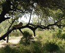 初めてのタンザニア旅の旅行プランの相談をします あなたのタンザニア旅、もっと特別に イメージ2