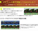 テニスの連続写真作成します 【プロ気分】上達間違いなしのアドバイス&画像比較にも対応 イメージ1