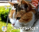 恋愛のモヤモヤ、不安をアラサー女子がお聴きします 不安、恋愛が続かない、関係が進展しない、音信不通、浮気 イメージ4