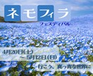 明るくかわいいバナーを作ります 目を引くデザインを使用したい方へ イメージ3