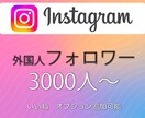 最安・格安でインスタフォロワー3000人増やします Instagramフォロワーを3000人〜 イメージ1