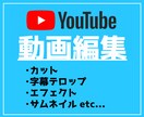 youtube等の動画を編集します カットや字幕テロップなどの面倒な作業、お任せください！！ イメージ1