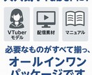 初心者向けVTuberモデル制作＋配信素材つけます 初配信まで全力支援！素材・台本・マニュアル全部入り！ イメージ9