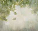 身近な人には話しにくい方へ！やさしくお話聞きます 気兼ねなく話せる、ちょうどいい間柄、誰かと話したいときに！ イメージ10