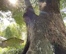強運・金運☆龍神様とのご縁をお繋ぎいたします 神社専属の龍神様との繋がりを作り、ご自身の人生を飛躍しよう イメージ2