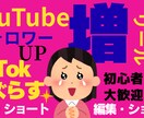 YouTube・TikTok動画等編集します SNSで伸びる見やすくてバズりやすい動画に編集します！ イメージ1