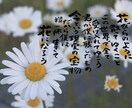 お好きな写真にお好きな言葉、文字入れします 様々な字体で書くことできます！要望ありましたら応えます！ イメージ2