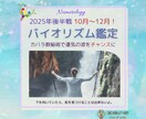 今年の後半戦 10月～12月！幸運の流れを導きます カバラ数秘術であなたの運気の波をチャンスにします イメージ1