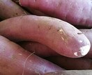 美容カウンセリングします 一つの悩みから複数のアプローチができます！ イメージ3