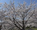 じっくりお聞きします 誰にも言えない話、ぽちこに聞かせてください。 イメージ1