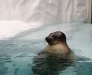 つわりが死ぬほどしんどい方、辛い気持ちお聞きします 妊娠が判った時は嬉しかったけど悪阻がこんなに苦しくて辛いとは イメージ4