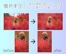 Photoshopで画像加工/レタッチ編集します 写真の切り抜き＆明るさや色彩調整＆不要物削除が必要な方に イメージ5