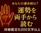 手相×算命学で仕事運・金運を鑑定【１万文字】します 適職・転職・起業の時期を２０種類の線と生年月日で徹底分析 イメージ3