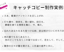 同人誌のキャッチコピーを考えます 心が沸き立つキャッチコピーを、あなたの自慢の作品へ イメージ3