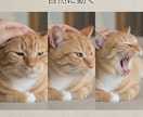 写真1枚で愛猫が動く動画制作します もう一度、あの幸せな時間に会える。 イメージ3