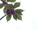 写真を加工いたします インスタ映えする加工で、あなたのインスタをおしゃれに！！ イメージ3