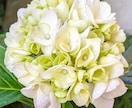 今すぐ誰かに聞いて欲しい❣️その思い受け止めます ～また笑顔で頑張れるように全力でお手伝いさせて下さいꕤ୭ イメージ4