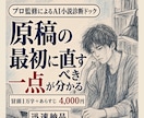 最初に直すべき一点、を見つけます プロ作家による小説ドック／冒頭を迅速判断。４８時間以内に納品 イメージ1