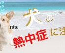 YouTube サムネイル制作します Canvaで作成！YouTube以外にもアイキャッチ画像対応 イメージ7