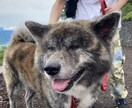 僕がすっきりさせます ちょっとだけ愚痴ってきませんか？ イメージ1
