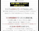 月商100万未満限定◆楽天ECコンサルいたします 【月間1枠限り】モール初心者に最適！ イメージ2