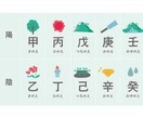 生年月日であなたのタイプ（木火土金水）を診断します 【8分チャット】MBTIのような自己分析をもっと手軽に！ イメージ1