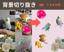 背景切り抜き 3枚で1000円！でご提供します 写真を一瞬で際立たせる！SNS・ビジネスに最適な一枚を。 イメージ1