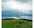世界一周・長期旅行を一緒に考えます やりたい気持ちを、言葉にする30分。 イメージ2