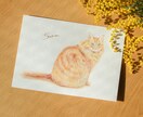 優しい水彩タッチでうちの子ペット似顔絵お描きします やさしい色にほっと癒される♡届いてすぐに飾れる原画納品 イメージ1