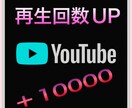 YouTubeの再生回数＋1万回向上します ＋10000回向上するまで集客！！ イメージ1