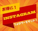 インスタのフォロワー増やします インスタのフォロワーを簡単に増加！ イメージ1