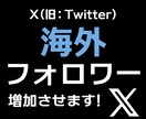 X:Twitter海外フォロワー1500増加します ご注文いただいた数より多めに増加させます！ イメージ10
