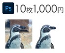 写真切り抜き10枚1,000円で承ります 低価格でなるべく早くご提供します イメージ1