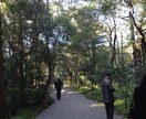 どんな話でも聞きます 3日間メッセージですっきりやりとりしましょう！ イメージ2