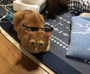 いっぱい話聞きます 他の人に言えない事ぶちまけて下さい イメージ1