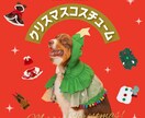 可愛いバナー作成します カラフルポップな目を引くバナー！ イメージ1
