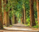 未来のことを一緒に考えます 精神疾患の方向け～無理のない1歩を～ イメージ1