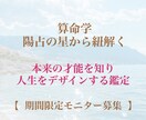 算命学の星から本来の才能を知り人生をデザインします 【期間限定モニター】5児ママが陽占からあなたの強みを鑑定 イメージ1
