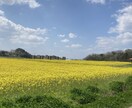 赤ちゃんの名付け・姓名判断に霊視を交えて鑑定します 名前は一生つかう大切なものです。名前に宿る運勢や改名など鑑定 イメージ1