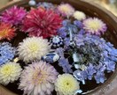 楽しくお話し〜悩み相談までなんでもお話し聞きます なんだか話したい。そんな時にでもどうぞ。⭐︎秘密厳守⭐︎ イメージ6