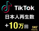 TikTok日本人再生「10万回」増やします 【11月限定】無料でいいね1000個を増加します！！ イメージ1