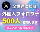 X（Twitter）フォロワー500人増加します アイコン・プロフあり高品質★格安★振り分け可★大口割引あり イメージ1