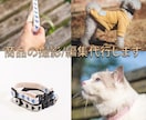 カメラマンによる商品撮影/画像の編集代行を行います 商品撮影/編集代行 1商品(1商品10枚まで)　16000円 イメージ1