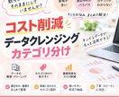 分析しやすいデータにクレンジングします 会社名の表記ゆれ整理・商品のカテゴリ分けに対応 イメージ1