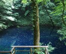 自分の価値が分からないあなたへ心の再発見します 自己否定を終わらせ自分軸で生きる土台作りをサポートします イメージ8