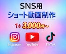 SNS用ショート動画制作します ショート動画は「伴走マン」にお任せください！ イメージ1