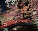 京都市内の観光地、穴場スポット写真代行致します 『コロナ禍でなかなか京都観光に行けない』という方に必見‼︎ イメージ2