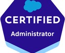Salesforceアドミン対策マンツーマンします 合格を目指す方を短期集中個別サポート致します。 イメージ1