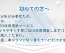 月額で継続的にSEOサポートします 改善後のフォローアップに最適！継続的にSEOをサポートします イメージ6